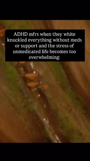 This is fine . . . #adhd #adhdmemes #audhd #asd #adhdbrain #adhdlife #adhdsupport #adhdcommunity | ADHD Meme Therapy