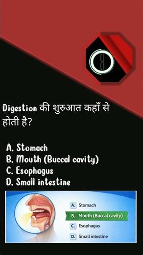 Digestive System Anatomy & Functions | MCQs + Diagram + Trick | Biology Class
