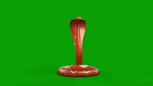 Snake On Green Screen Red Snake Stock Footage Video (100% Royalty-free) 3763407179 | Shutterstock
