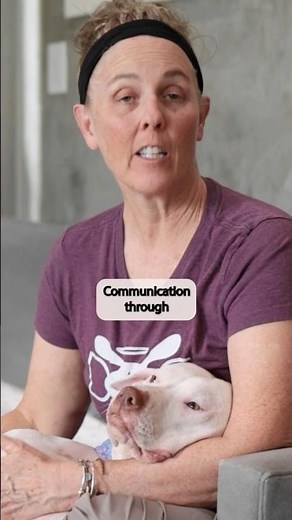 Why Dogs Loves Their Human 4: Communication