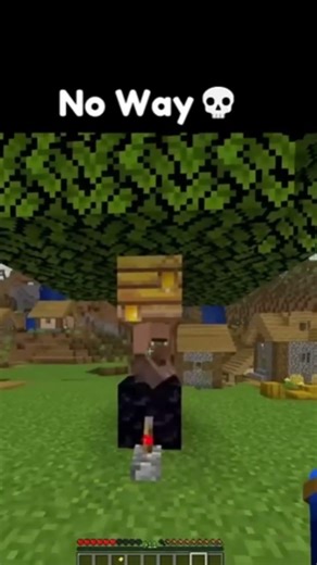 crazy seeds #modsminecraft