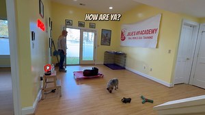 We discuss training techniques to help Scout manage anxiety by teaching the 'place' command, which helps reduce nervous energy and improve impulse control. We explore how structured training can help calm a dog's anxious behaviors and provide mental stability. | Julie's K9 Academy - Dog Training