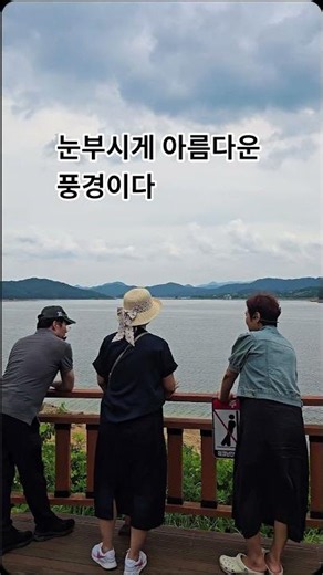 눈부시게 아름다운 계절 #수노#대청호