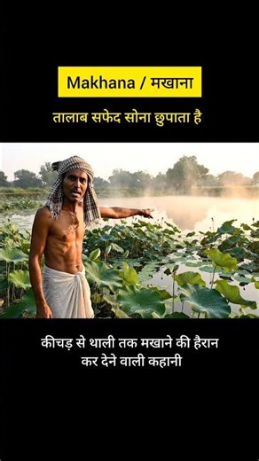 तालाब से थाली तक: मखाने की सच्ची और हैरान कर देने वाली कहानी | Makhana Making Process #viral #shorts