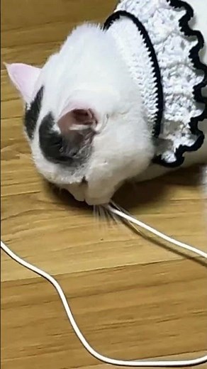 어허 밍키