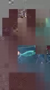 57K views · 1.5K reactions | The Annual Galveston Island Shrimp Festival takes over The Strand THIS WEEKEND! 拾戀 Come out & kick off the fall festival season in Galveston with some of the best shrimp you'll ever have! There's live music, vendors and tons of other entertainment, it's a great time for the whole family! Get more info at  https://www.visitgalveston.com/events/galveston-island-shrimp-festival/ | Galveston Island | Facebook