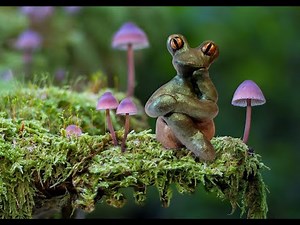 How To Sculpt A Frog In Air Dry Clay / Self Hardening Clay DETAILED Tutorial - Miniature Figures