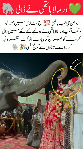Bride’s Trained Elephant Puts Garland on Groom 🐘💕 Unique Wedding Moment | Viral Vidai Scene#shorts