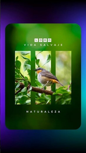 Idea de diseño Fácil en Canva 🤯 #canva