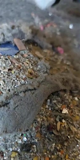 Mic'd Bissell Helix Dusting Brush in Action