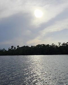 Yamaha Tech Tip: 6Y8 Gauge Speed/Fuel Setting #cavsmarine #yamaha #6y8 #speed #fuel #reading | Cavs Marine & Outdoor