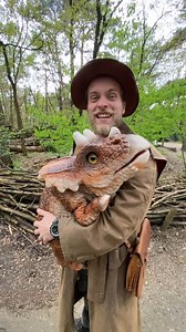 10K views · 58 reactions | Ontmoet deze triceratops en alle andere dinosauriërs tijdens de DinoAdventures in de herfstvakantie! 朗練 | DierenPark Amersfoort | Facebook