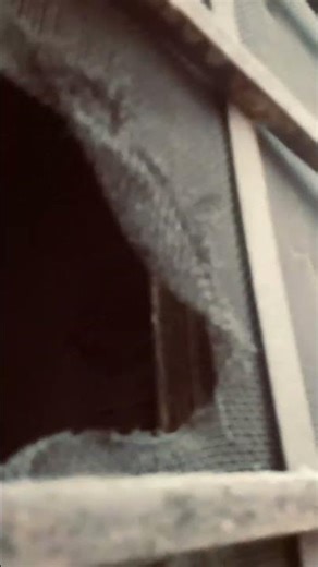 Normal Video #trailer #composer #production #horror #youtudeshrts #horrorfilm