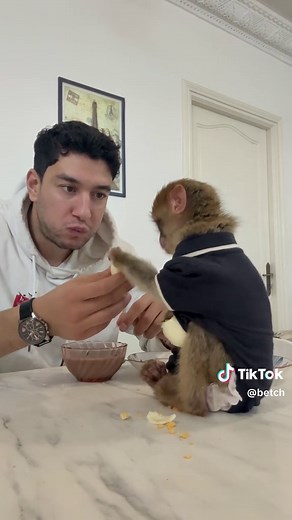 Glad He Didn't Overreact 😂