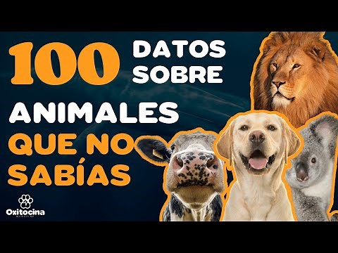 100 FACTS ABOUT ANIMALS YOU DIDN'T KNOW A FEW MINUTES AGO
