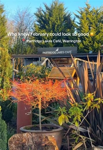 Visit Lakeside Cafe: Open 7 Days a Week!