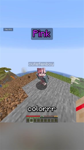 Minecraft Find The Random Color Challenge