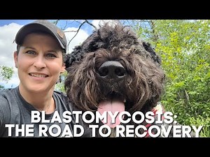 Blastomycosis: The Road to Recovery