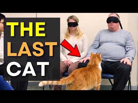 When Cats Choose Their Humans — Adoption Stories #cats #catadoption #heartwarming