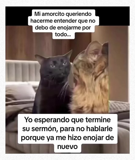 Animal Memes That Will Make You Laugh