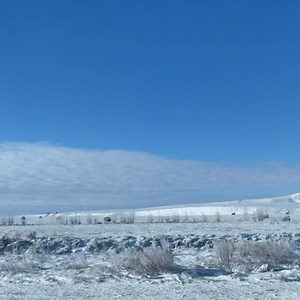 Menards #bettertogether #HomeImprovement #Menards | Conni Marie Binstock