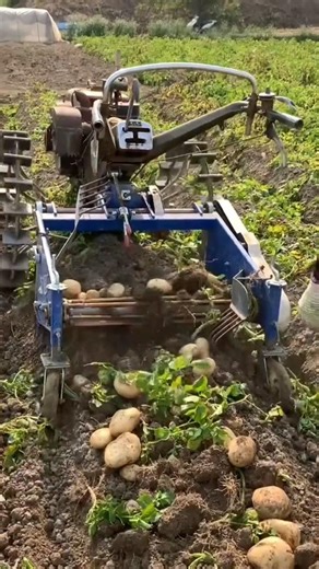 tractor engine modification for harvesting potatoes...!!!