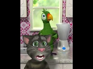 Talking Pierre the Parrot in Action for 9 minutes and 52 seconds.