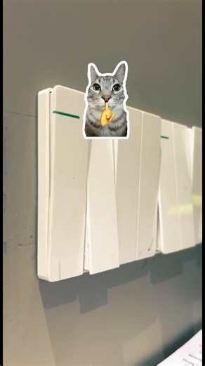 It’s day 2 and revised some OOP’s concepts #oop #codinglife #shorts #instagram #programming #java