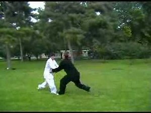 Ba Gua Zhang Drills and Applications