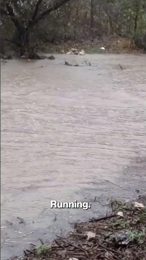 Central Texas Hit by Dangerous Floodwaters After More Than a Foot of Rain