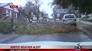 The roads aren't too bad this morning but the ice has downed a number of trees and power lines around the Tri-State. Perry Schaible Local 12 News shows us the damage in one neighborhood. | LOCAL 12, WKRC-TV