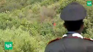 72K views · 760 reactions | SVOLTA NELLE RICERCHE DEL PICCCOLO GIOELE Sono ad una svolta le ricerche del piccolo Gioele, il bambino di 4 anni, scomparso con la madre, Viviana Parisi, trovata poi senza vita nelle campagne di Caronia. Trovati su segnalazione di un volontario una maglietta e dei resti. Gli aggiornamenti con Lucia Basso in collegamento al Tg3 delle 14.20 del 19 agosto 2020 | Tg3 | Facebook