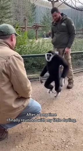 I miss you ❤️#fyp #fouryou #monkey #love #reunion