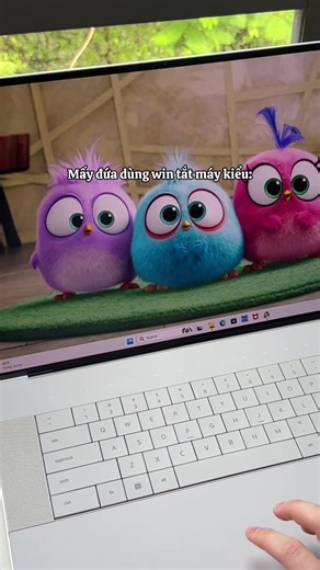 Chuẩn k nè #xmac #macbook #windows #meohay #xh