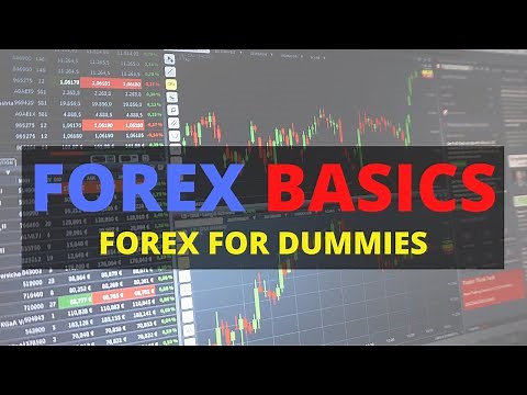 Forex Trading For Dummies - Forex Basics (In-Depth Training For Beginners)