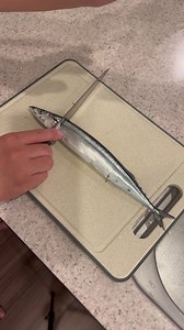 さんまのさばき方 世界一簡単な手順｜家庭でできる魚の処理