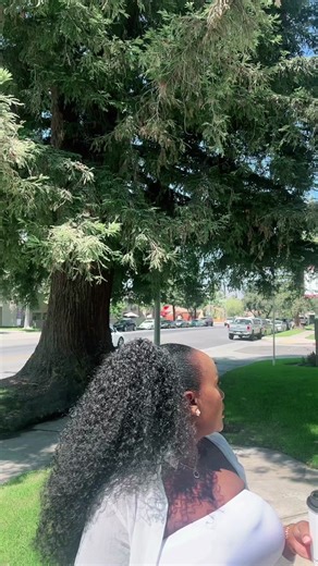 Capturing the Journey of Pregnancy: A Compilation of Beautiful Pregnant Videos