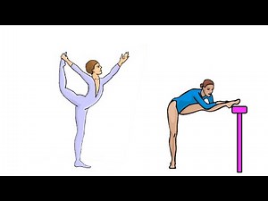 Watch how to sign 'lithe' in American Sign Language.