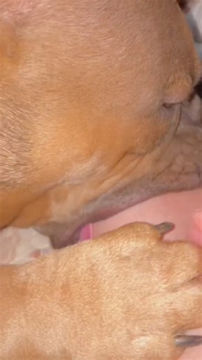 881K views · 2.7K reactions | Ala ala  | Muhammed Ali Aküzüm | Facebook