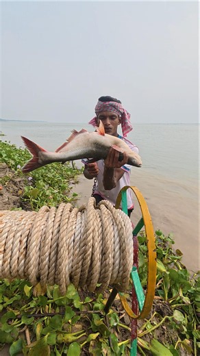 Traditional Pangas Fish Bait Throwing River #fishing #fishbait