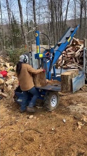 Timber devil wood splitter