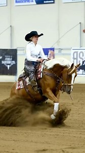 Butters came into my program just this summer and it didn’t take long for her to become a favourite. Being halfway through her 5yo year and coming from a reining background, I wasn’t sure she’d make it to the cowhorse pen before her derby year was over — but with her willingness to try we managed to hit a few shows this fall. A huge thank you to Cody Dawn of Waters Equine for trusting me with her special mare. I’m so excited to see what her two rein year has in store! 💗 Krystina Lynn Photograph