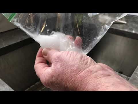 Saturday Morning Science - Calcium Chloride & Water