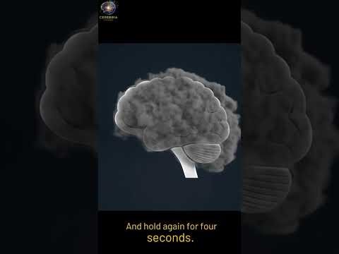 Brain Fog? Clear Your Mind in 60 Seconds! 🤯 #shorts #brainfog #brainfacts