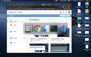 Basics Python: Declaration, assignment, selection, repetition, input and output