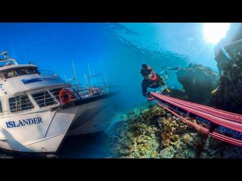 How to Spearfish the Channel Islands With No Boat for Under $100