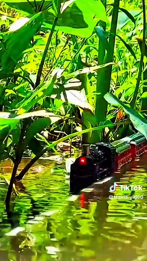 Captivating Train Videos for Enthusiasts