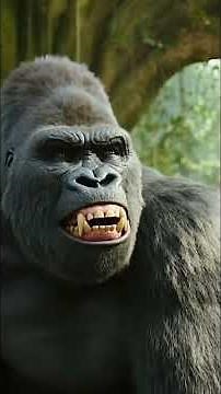 SILVERBACK GORILLA vs LEOPARD: Jungle King Battle! 🦍💪🐆 | Ultimate Primate Power!