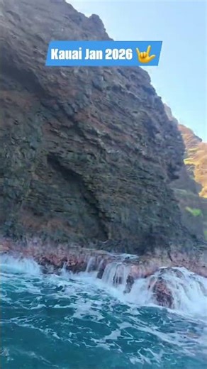Kauai Morning Snorkel Tour Jan 2026 🤟