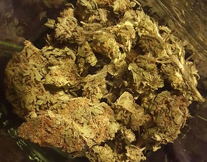 Cherry Blossom | Marijuana Strain Reviews